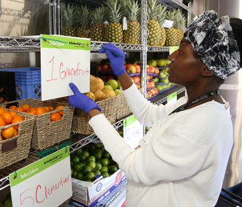 Food distribution events - healthy food 