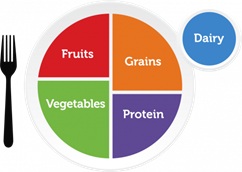 MyPlate food groups