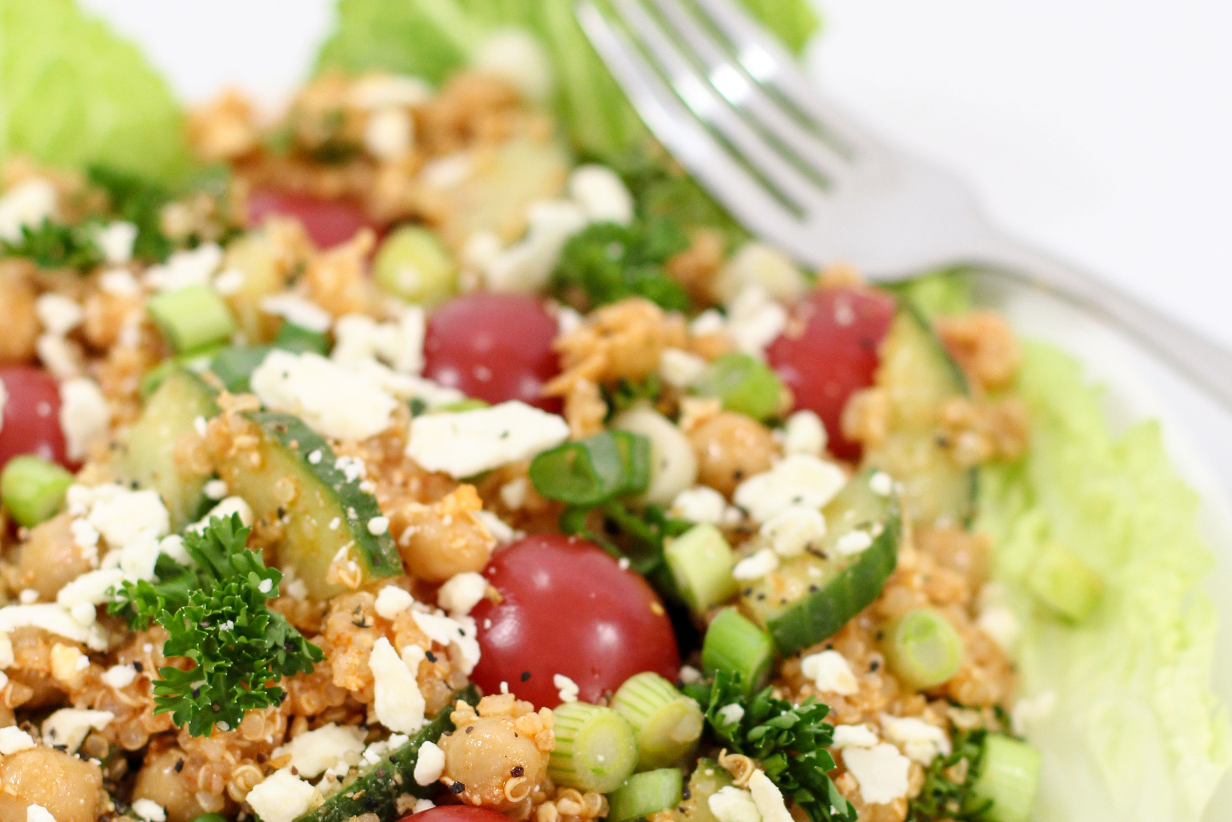 Cilantro Chickpea Salad