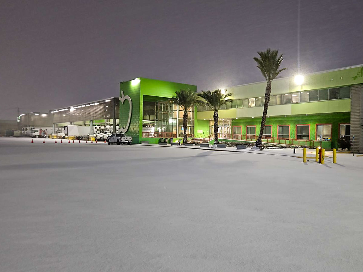 Houston Food Bank during Winter Storm Enzo