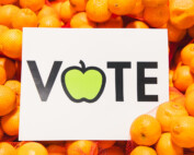 Your Vote is Your Voice