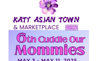 Katy Asian Town - Cuddle Our Mommies
