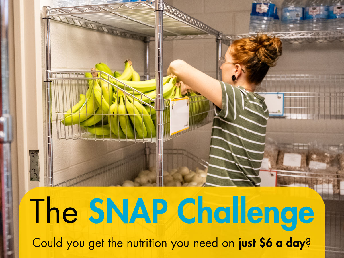 The SNAP Challenge. Could you get the nutrition you need on just $6 a day?