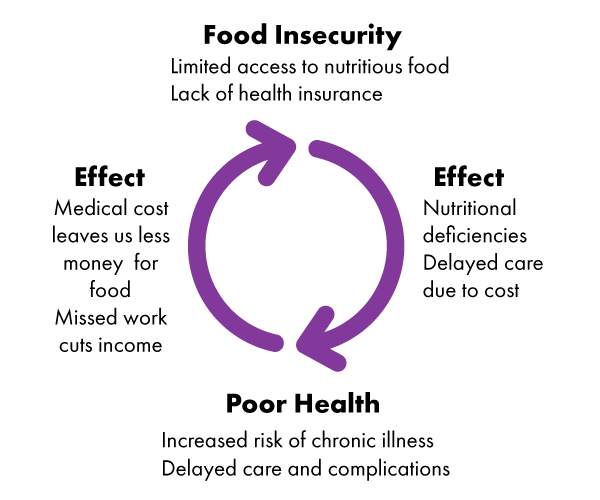 The Cycle: Food insecurity leads to poor health, which leads to higher medical costs and less money for food