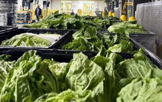 Fresh produce in bins at Houston Food Bank.
