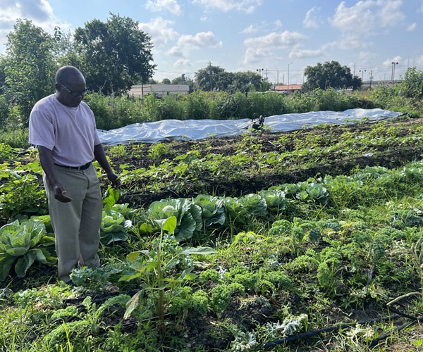 WaterOrdinance-600×500-01 Farmer Pierre shows his field of crops.
