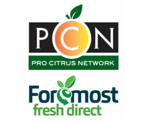 logo PCN 600×500 1 logo PCN 600x500 1